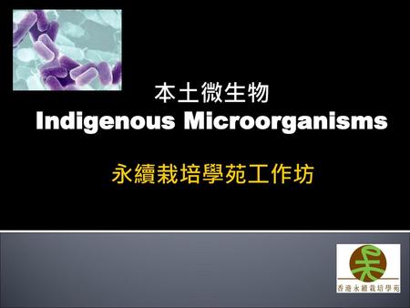 本土微生物 Indigenous Microorganisms