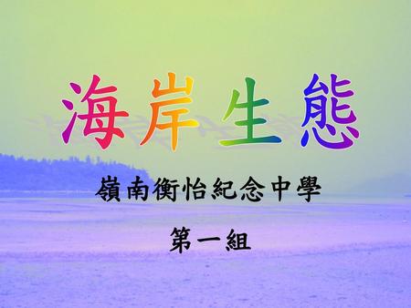 海岸生態 嶺南衡怡紀念中學 第一組.