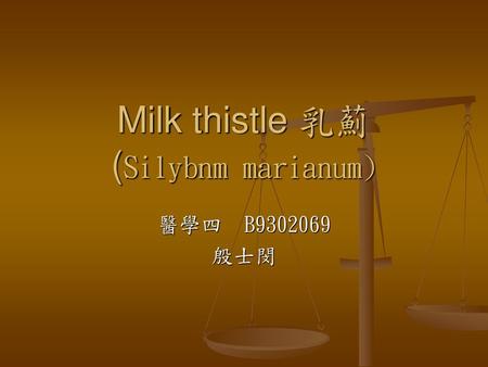 Milk thistle 乳薊 (Silybnm marianum)