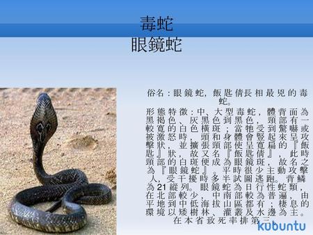 毒蛇 眼鏡蛇 俗名：眼 鏡 蛇，飯 匙 倩長 相 最 兇 的 毒 蛇。