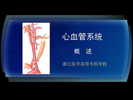 心血管系统 概 述 浙江医学高等专科学校.