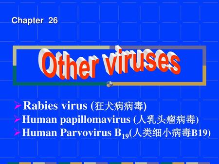 Other viruses Rabies virus (狂犬病病毒) Human papillomavirus (人乳头瘤病毒)
