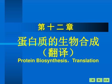 蛋白质的生物合成 （翻译） Protein Biosynthesis，Translation