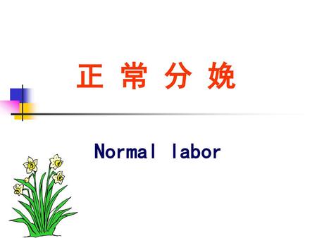 正 常 分 娩 Normal labor.