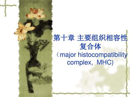第十章 主要组织相容性复合体 （major histocompatibility complex, MHC)