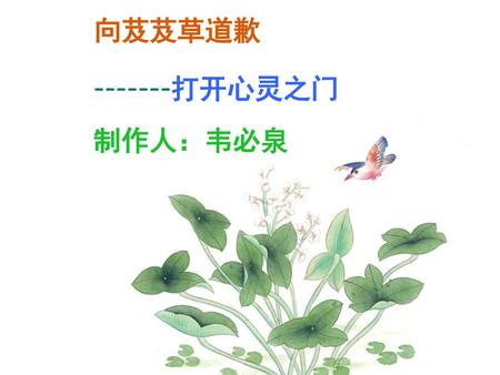 向芨芨草道歉 -------打开心灵之门 制作人：韦必泉.