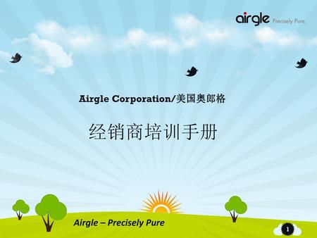 Airgle Corporation/美国奥郎格