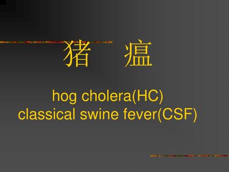 猪 瘟 hog cholera(HC) classical swine fever(CSF)