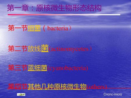 第一章：原核微生物形态结构 第一节细菌（bacteria） 第二节放线菌(actinomycetes）