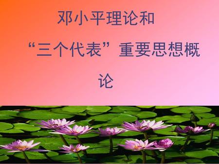 邓小平理论和 “三个代表”重要思想概论.