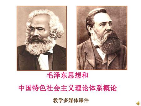 毛泽东思想和 中国特色社会主义理论体系概论