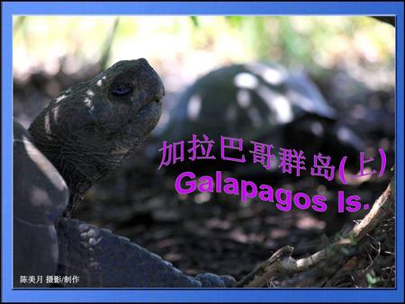 加拉巴哥群岛(上) Galapagos Is.