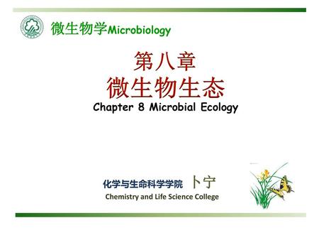 Chapter 8 Microbial Ecology