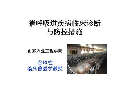 猪呼吸道疾病临床诊断 与防控措施 山东农业工程学院 谷风柱 临床兽医学教授.