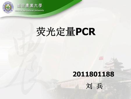 荧光定量PCR 2011801188 刘 兵.