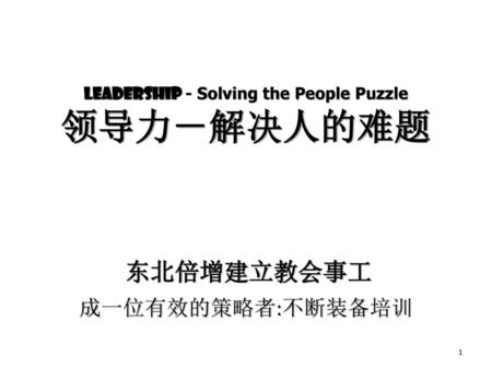 Leadership - Solving the People Puzzle