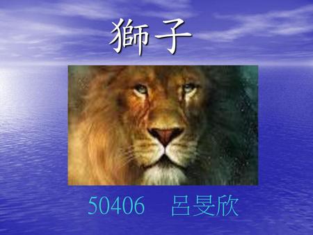 獅子 50406 呂旻欣.