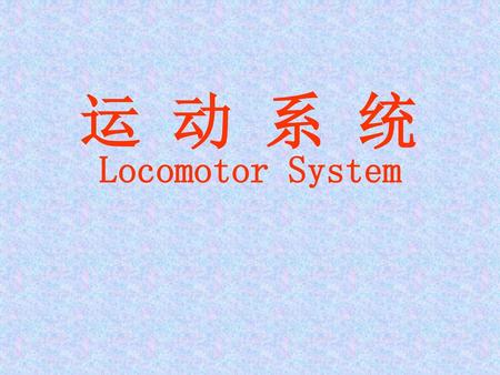 运 动 系 统 Locomotor System.