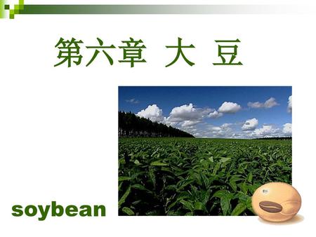 第六章 大 豆 soybean.