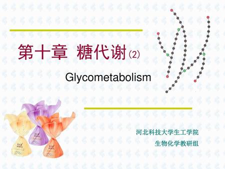 第十章 糖代谢(2) Glycometabolism 河北科技大学生工学院 生物化学教研组.