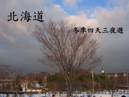 北海道 冬季四天三夜遊.