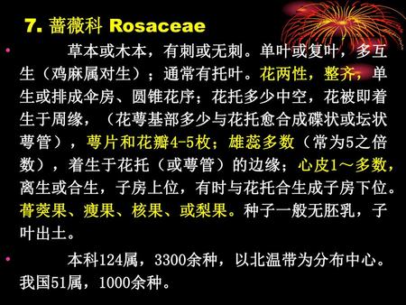 7. 蔷薇科 Rosaceae 草本或木本，有刺或无刺。单叶或复叶，多互生（鸡麻属对生）；通常有托叶。花两性，整齐，单生或排成伞房、圆锥花序；花托多少中空，花被即着生于周缘，（花萼基部多少与花托愈合成碟状或坛状萼管），萼片和花瓣4-5枚；雄蕊多数（常为5之倍数），着生于花托（或萼管）的边缘；心皮1～多数，离生或合生，子房上位，有时与花托合生成子房下位。蓇葖果、瘦果、核果、或梨果。种子一般无胚乳，子叶出土。