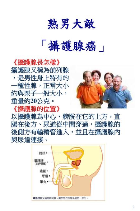 熟男大敵 「攝護腺癌」 《攝護腺長怎樣》 攝護腺又稱為前列腺 ，是男性身上特有的 一種性腺，正常大小 約與栗子一般大小， 重量約20公克。