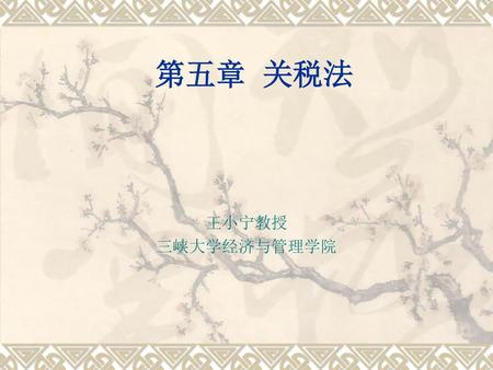第五章 关税法 王小宁教授 三峡大学经济与管理学院.
