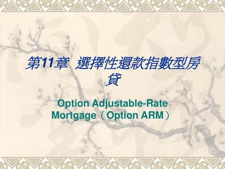 Option Adjustable-Rate Mortgage（Option ARM）