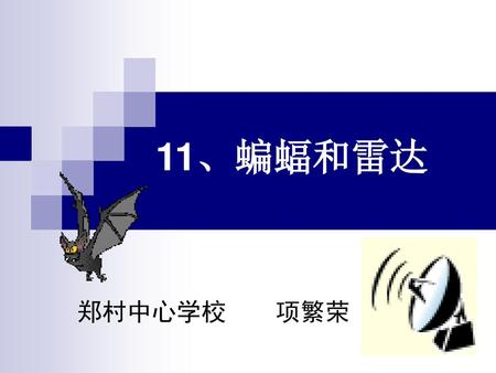 11、蝙蝠和雷达 郑村中心学校 项繁荣.