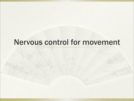 Nervous control for movement
