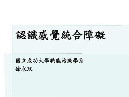 認識感覺統合障礙 國立成功大學職能治療學系 徐永玟.