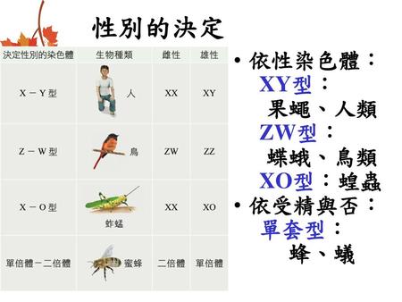 性別的決定 依性染色體： XY型： 果蠅、人類 ZW型： 蝶蛾、鳥類 XO型：蝗蟲 依受精與否： 單套型： 　蜂、蟻.