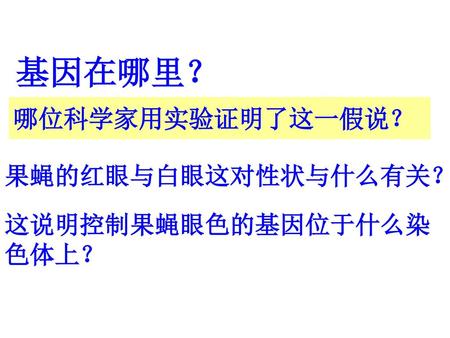 果蝇的红眼与白眼这对性状与什么有关?