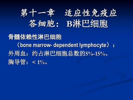 第十一章 适应性免疫应 答细胞： B淋巴细胞 骨髓依赖性淋巴细胞 （bone marrow- dependent lymphocyte）：