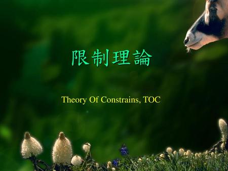 限制理論 Theory Of Constrains, TOC