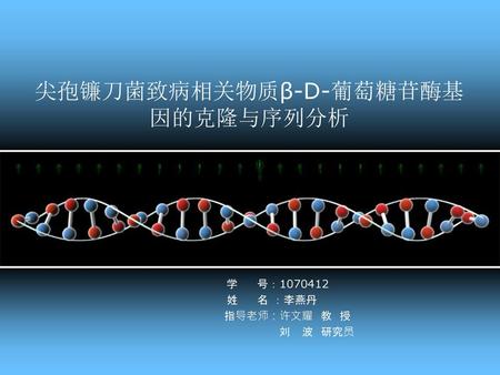 尖孢镰刀菌致病相关物质β-D-葡萄糖苷酶基因的克隆与序列分析