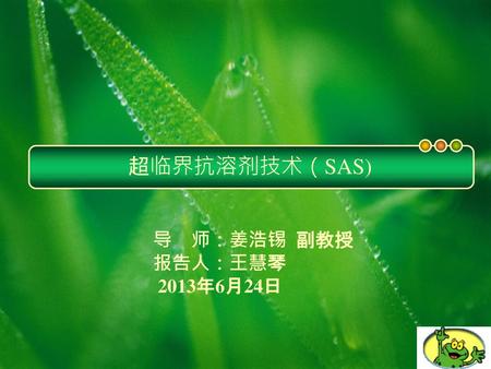 超临界抗溶剂技术（SAS) 导 师：姜浩锡 副教授 报告人：王慧琴 2013年6月24日.