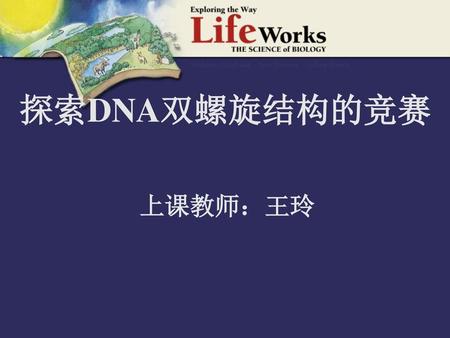 探索DNA双螺旋结构的竞赛 上课教师：王玲.