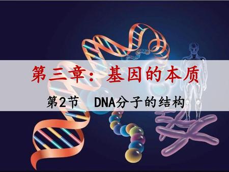 第三章：基因的本质 第2节 DNA分子的结构.