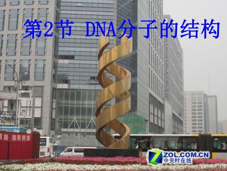 第2节 DNA分子的结构.