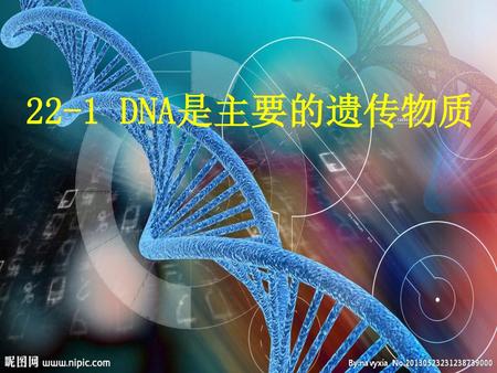 22-1 DNA是主要的遗传物质.