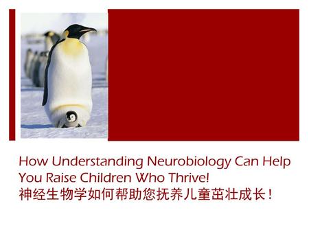 How Understanding Neurobiology Can Help You Raise Children Who Thrive