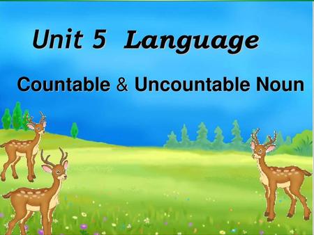 Unit 5 Language Countable & Uncountable Noun.