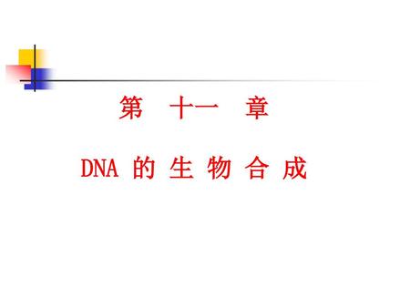 第 十一 章 DNA 的 生 物 合 成.