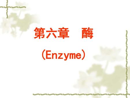 第六章 酶 (Enzyme).