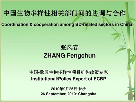 Institutional/Policy Expert of ECBP