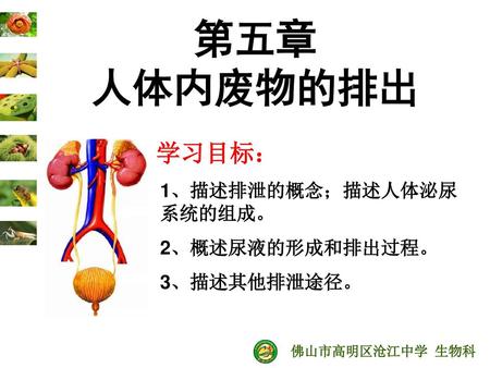 2,概述尿液的形成和排出過程. 3,描述其他排洩途徑.