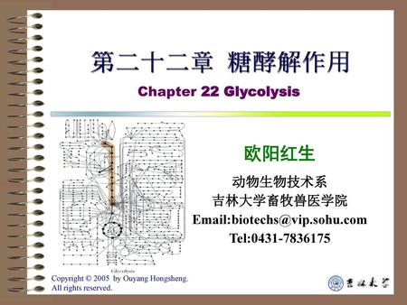第二十二章 糖酵解作用 欧阳红生 Chapter 22 Glycolysis 动物生物技术系 吉林大学畜牧兽医学院