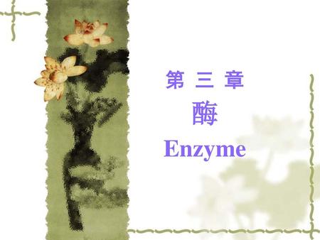 第 三 章 酶 Enzyme Enzyme.